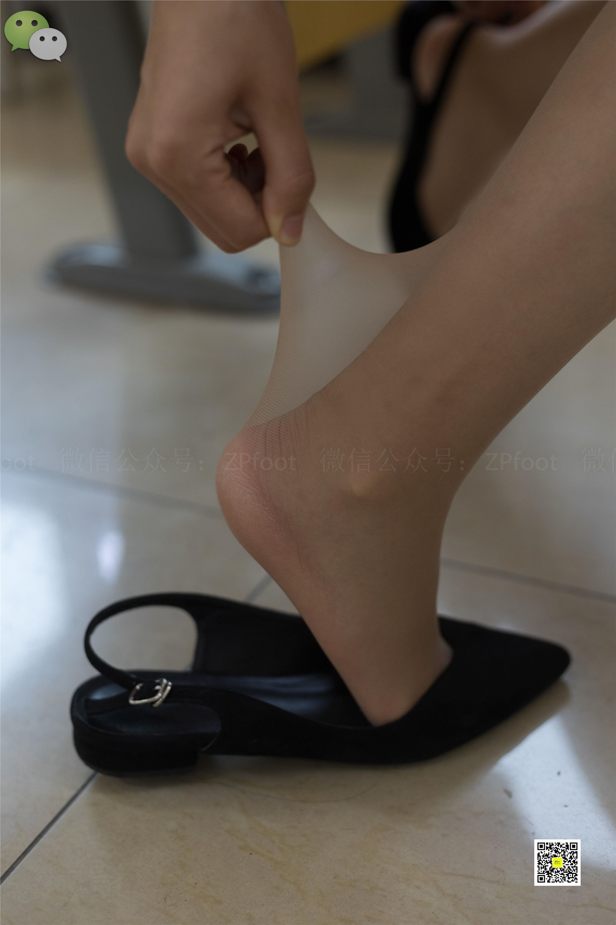 LSS山茶摄影 NO.005 学生肉丝